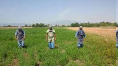 Tərtərdə minaatan mərmi aşkarlanıb